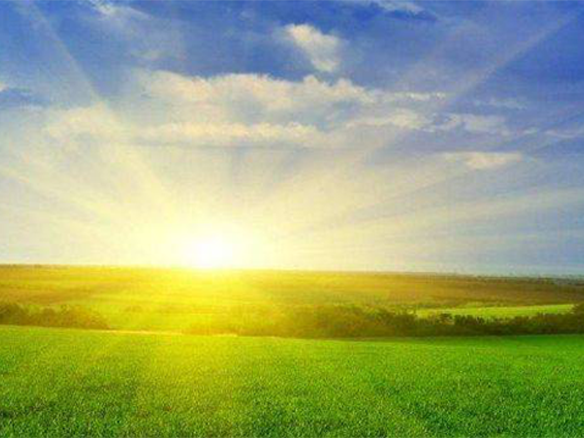 2020H1，錦州陽光戮力同心、運營達滿產