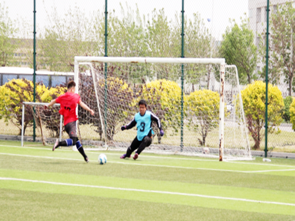 人文阳光 | 燃情绿茵场！阳光能源“阳光杯足球赛”正式开赛